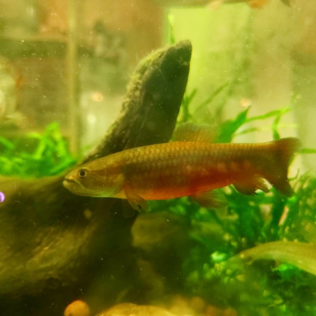 1000004160.jpg 1000004160.jpg