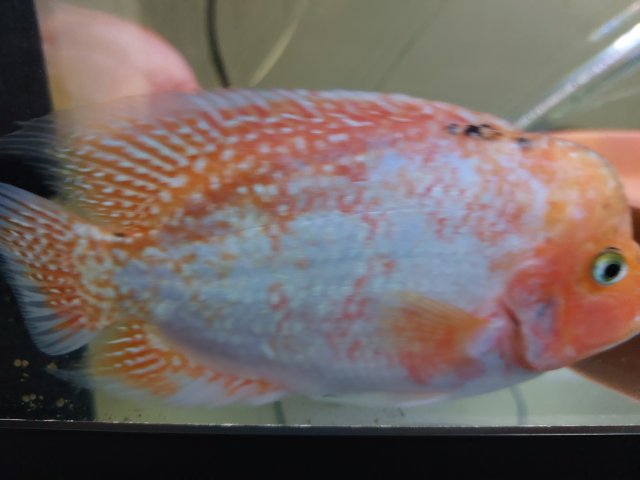20230117_171025.jpg