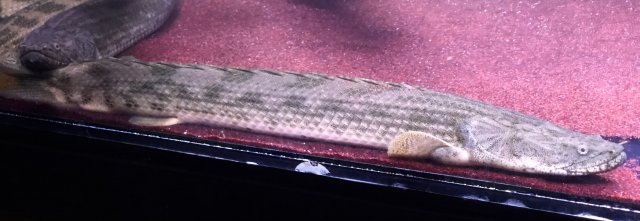 17363CF6-7DE6-4A13-A7D4-BC5597FAB9FF.jpeg 17363CF6-7DE6-4A13-A7D4-BC5597FAB9FF.jpeg