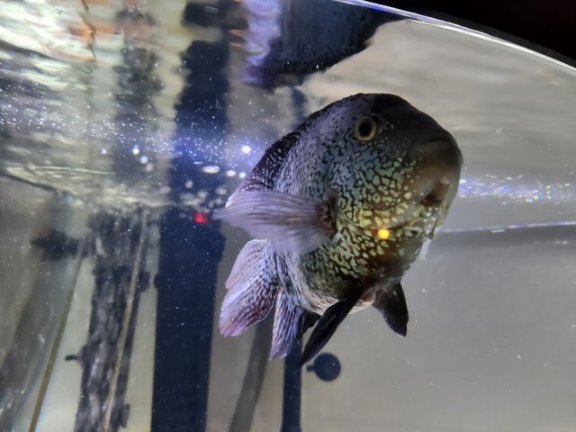 20230122_184355.jpg 20230122_184355.jpg