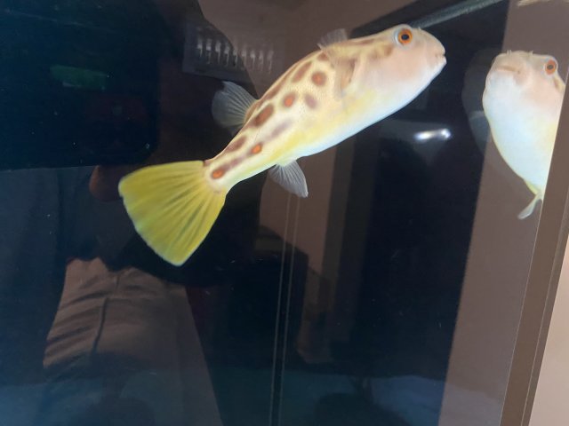 9DB8C8D9-8A60-4584-906B-44D3CA4933FF.jpeg 9DB8C8D9-8A60-4584-906B-44D3CA4933FF.jpeg