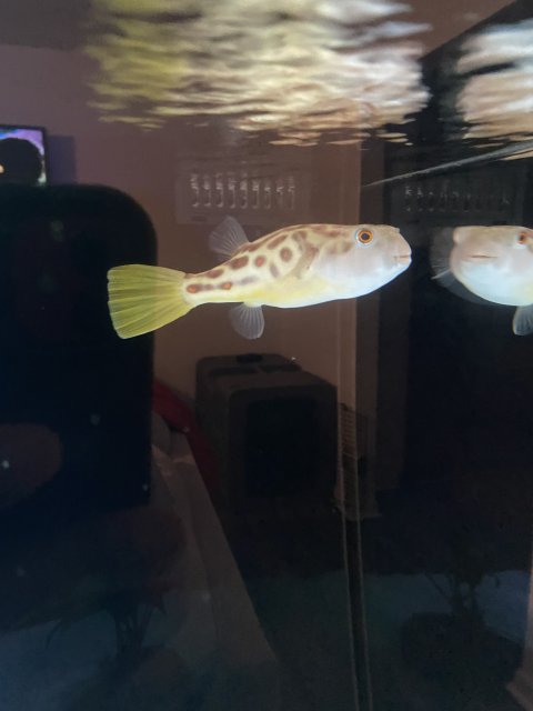 9D819F38-E24F-428C-96B5-D6D87338154E.jpeg 9D819F38-E24F-428C-96B5-D6D87338154E.jpeg