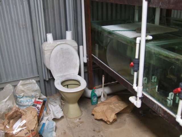 DSCF6556.JPG