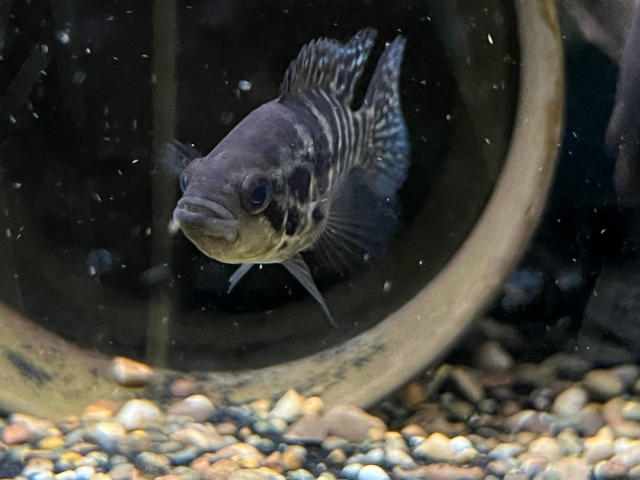 1674781258077.png 1674781258077.png