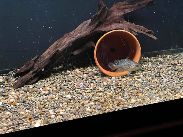 1674781333373.png 1674781333373.png