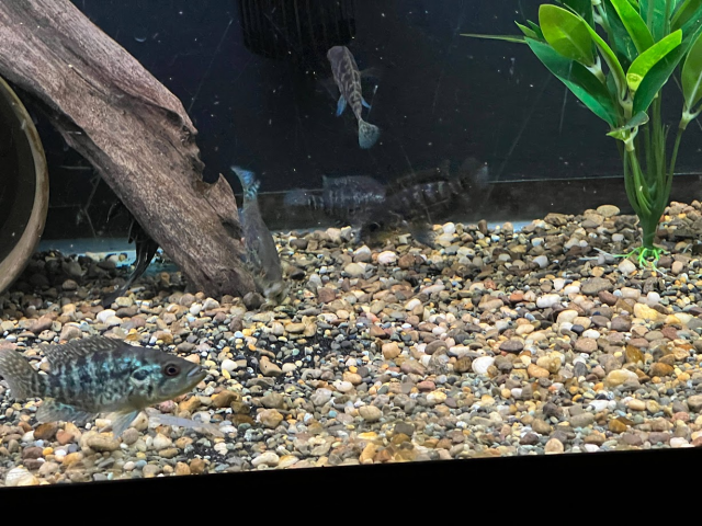 1674781358142.png 1674781358142.png