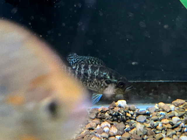 1674781405225.png 1674781405225.png