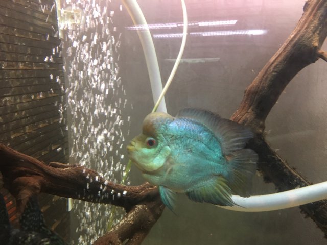 XGGW2177.JPG XGGW2177.JPG