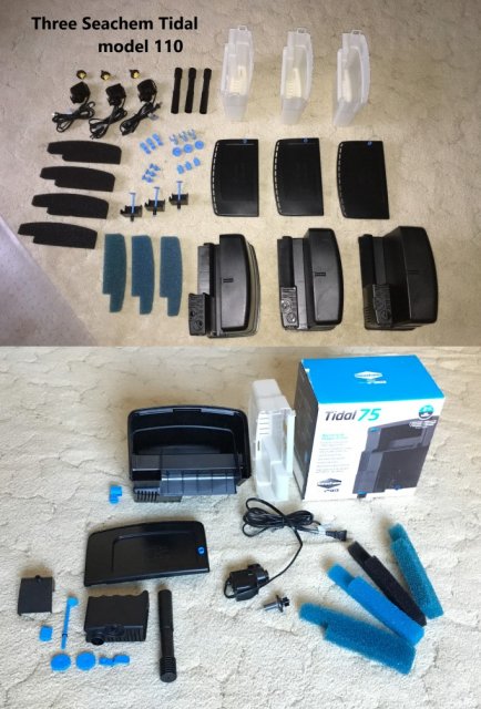 P1260505 multi.JPG P1260505 multi.JPG