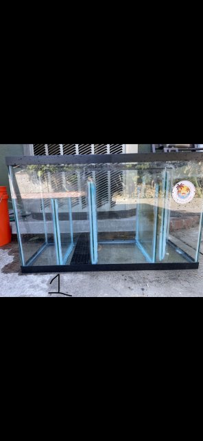 92BEC68C-0B45-4F31-B7BC-8498D3D7A4EC.jpeg 92BEC68C-0B45-4F31-B7BC-8498D3D7A4EC.jpeg