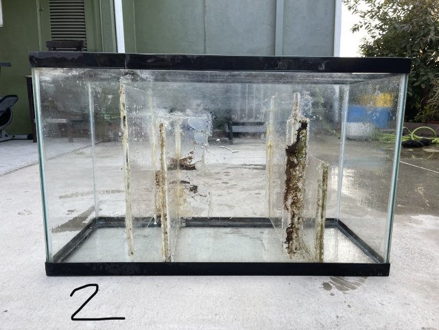 4922BC6A-5CF2-4334-A458-8587BC8F64A8.jpeg 4922BC6A-5CF2-4334-A458-8587BC8F64A8.jpeg