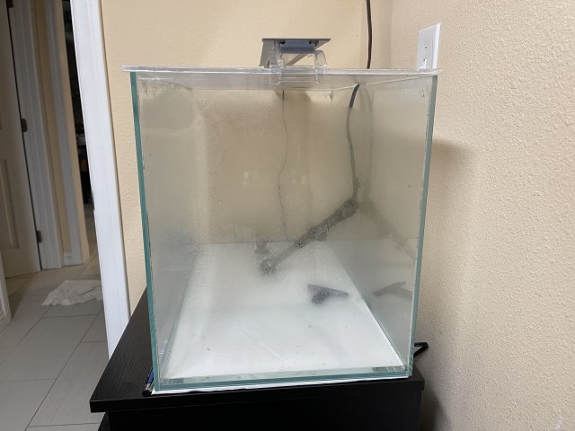 840F5B5B-B30D-43DA-B8D5-D29DE4210EB6.jpeg 840F5B5B-B30D-43DA-B8D5-D29DE4210EB6.jpeg