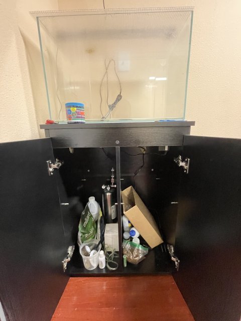 4BA66E7E-B1EE-4989-A2F6-DB76E37BE97E.jpeg 4BA66E7E-B1EE-4989-A2F6-DB76E37BE97E.jpeg