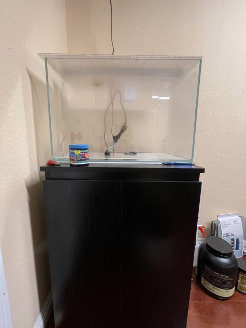 06D890F1-AEB1-40CF-8662-92CB0FC94B06.jpeg 06D890F1-AEB1-40CF-8662-92CB0FC94B06.jpeg