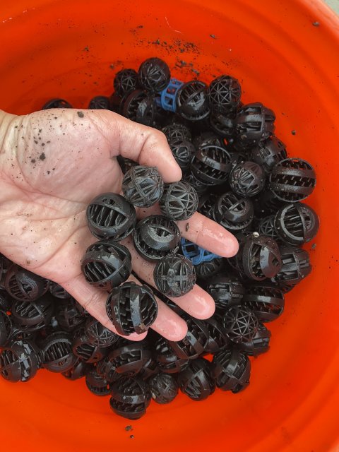 5839EFF1-803F-471B-9855-BB6819FA017D.jpeg 5839EFF1-803F-471B-9855-BB6819FA017D.jpeg