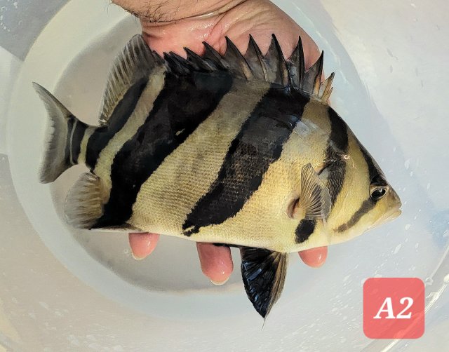 20230205_221256.jpg 20230205_221256.jpg