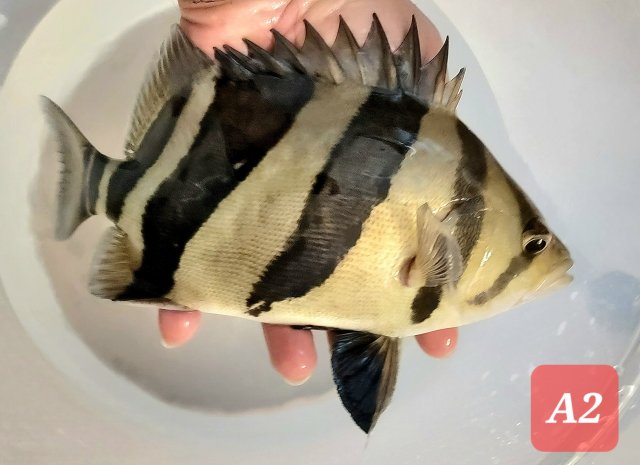 20230205_221257.jpg 20230205_221257.jpg