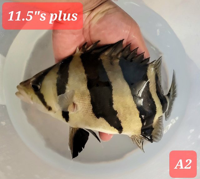 20230205_221307.jpg 20230205_221307.jpg