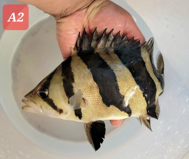 20230205_221309.jpg 20230205_221309.jpg