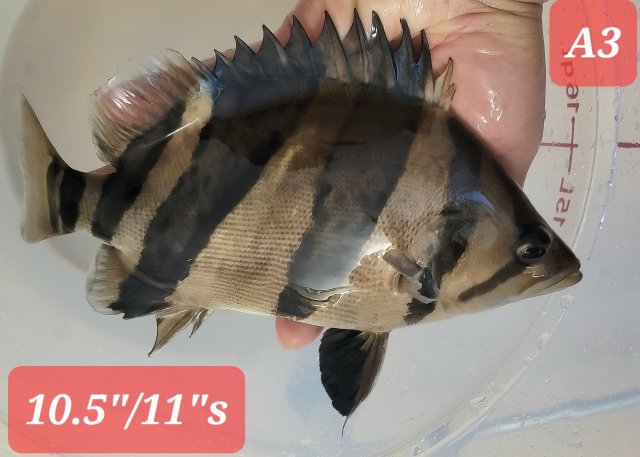 20230205_221749.jpg 20230205_221749.jpg