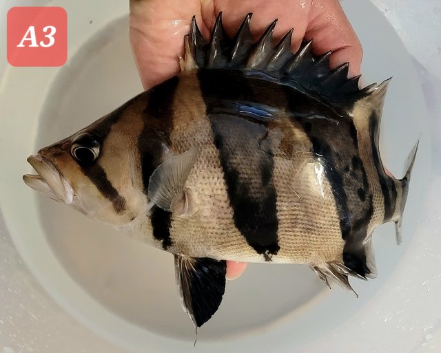 20230205_221812.jpg 20230205_221812.jpg