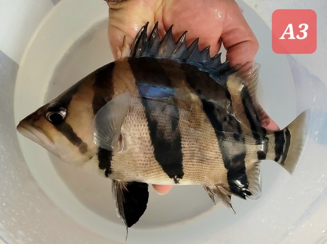 20230205_221814.jpg 20230205_221814.jpg