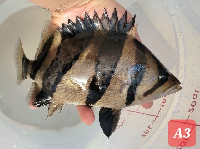 20230205_221917.jpg 20230205_221917.jpg