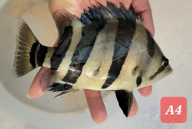 20230205_222453.jpg 20230205_222453.jpg