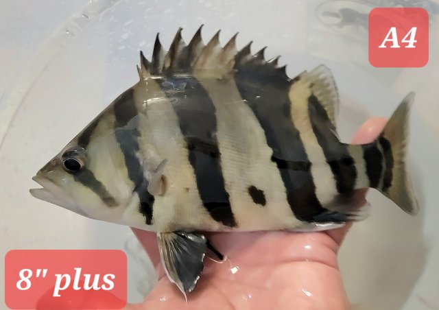 20230205_222504.jpg 20230205_222504.jpg