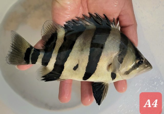 20230205_222636.jpg 20230205_222636.jpg