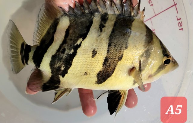 20230205_222936.jpg 20230205_222936.jpg