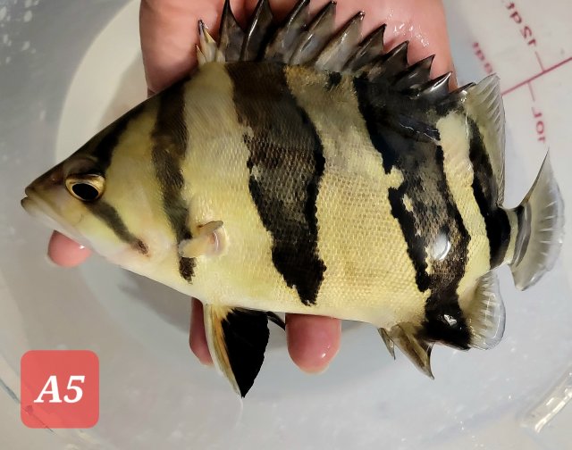 20230205_222945.jpg 20230205_222945.jpg