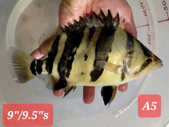 20230205_223000.jpg 20230205_223000.jpg