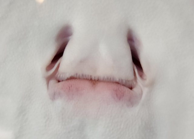 20230206_162817.jpg