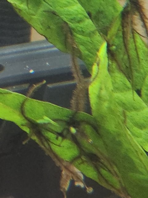 20230206_174150.jpg