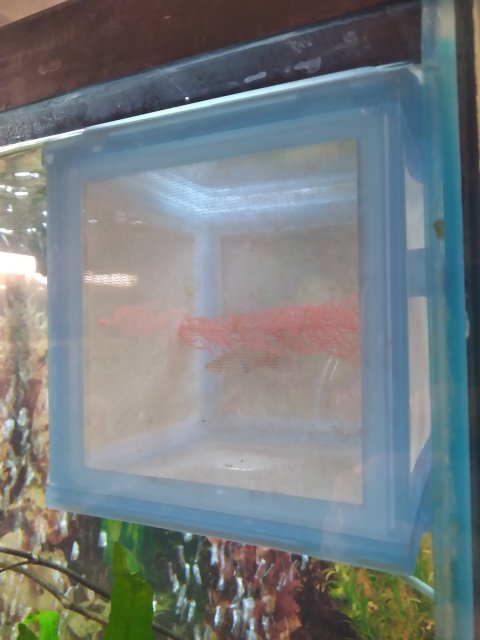 16762345326315654029980307271217.jpg 16762345326315654029980307271217.jpg