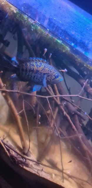 Snapchat-893523921_exported_1600.jpg Snapchat-893523921_exported_1600.jpg