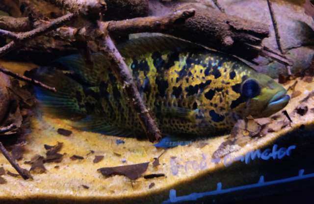 Screenshot_20230214-012003.png Screenshot_20230214-012003.png