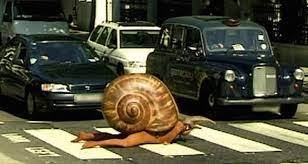 snail man.jpg