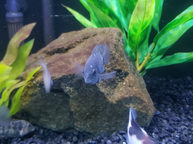 20230215_210944.jpg 20230215_210944.jpg