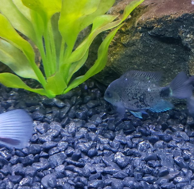 20230215_211000-2.jpg 20230215_211000-2.jpg