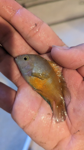 1676607332549.png 1676607332549.png