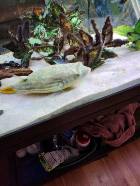 Compress_20230219_102831_1904.jpg