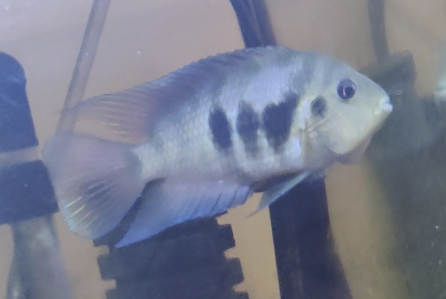 Screenshot_20230219-140920.png Screenshot_20230219-140920.png