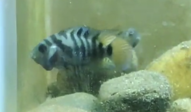 Screenshot_20230219-141030.png Screenshot_20230219-141030.png