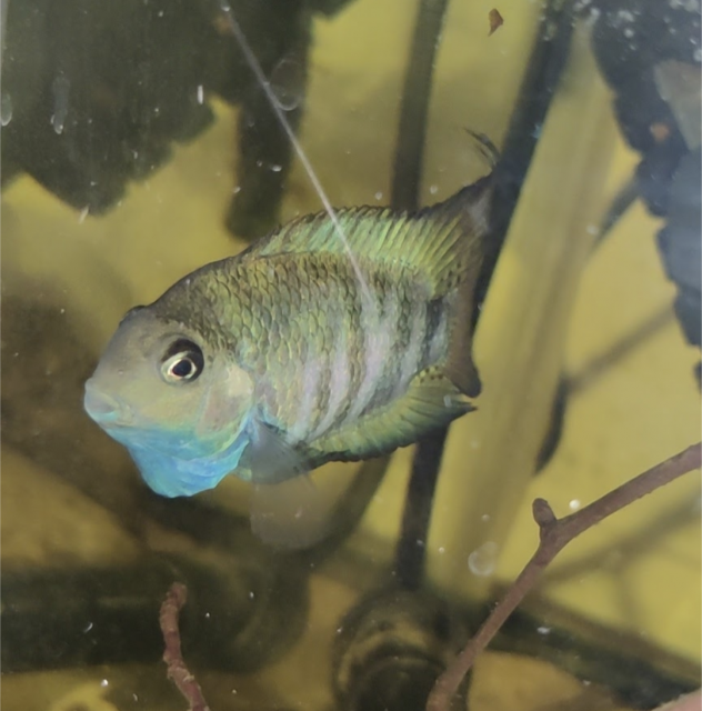 Screenshot_20230219-141250.png Screenshot_20230219-141250.png