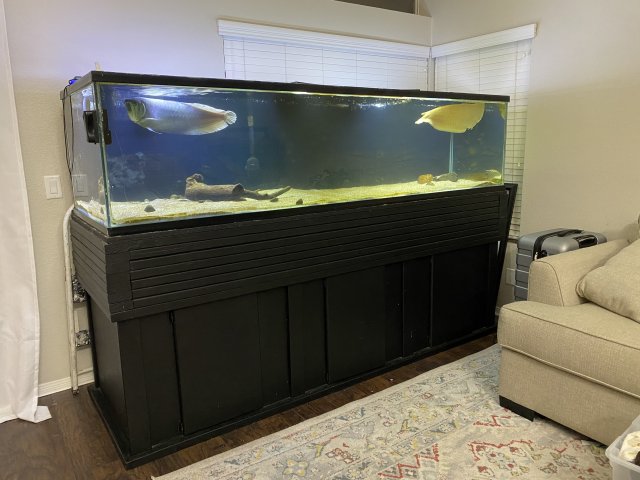 For Sale - 300 and 100 gallon fish tank