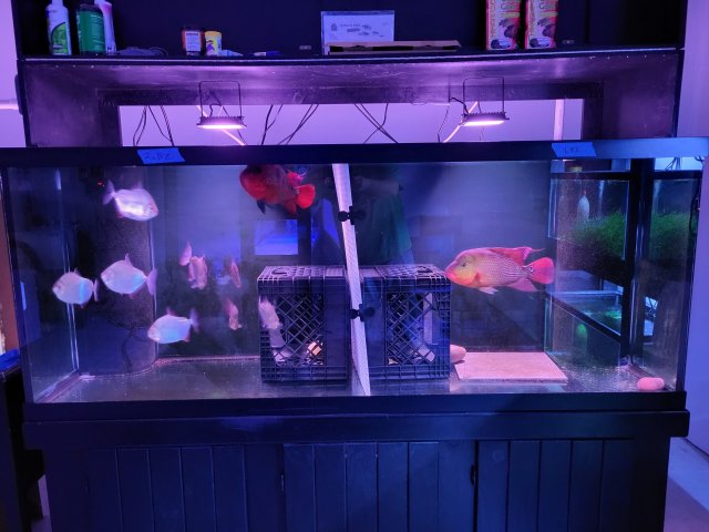 20221125_182859.jpg 20221125_182859.jpg