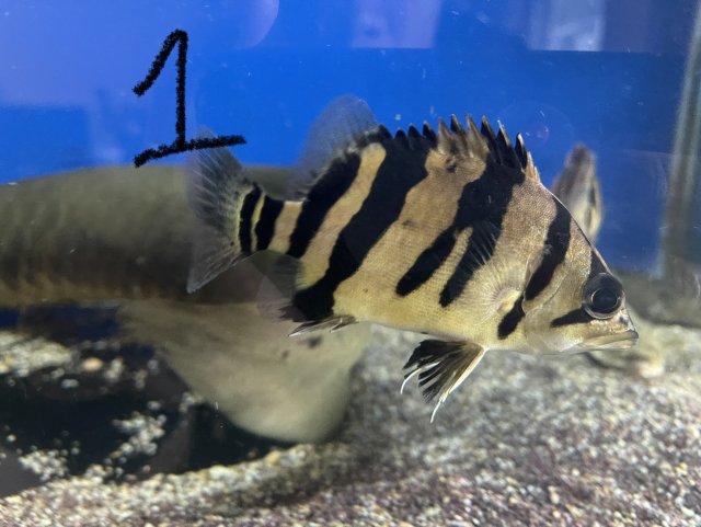 0ECFBCB8-326C-4DA9-BFEB-223797E075A0.jpeg