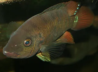 1677516099909.png 1677516099909.png